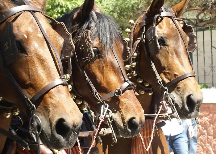 Ruisol - Auto Checkin - By Centrall Alquileres Turisticos Διαμέρισμα