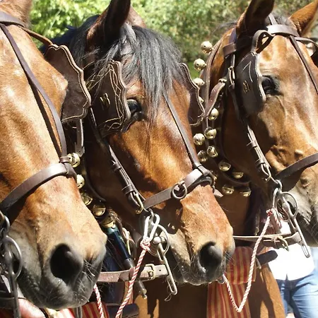 Ruisol - Auto Checkin - By Centrall Alquileres Turisticos Apartment